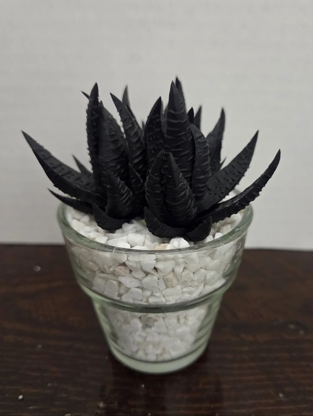 NWT Faux Succulent in Glass Planter With Faux White Rock - At Home